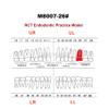 10Pcs Dental Typodont RCT Teeth Model Root Canal Pulp Cavity Endodontic Practice Study Teach M8007-26# view 2
