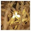 Purzen Crinkle Cut Paper Shred Filler for Gift Wrapping and Basket Filling - Shredded Paper for Gift Box Stuffing for Birthdays, Weddings, Anniversaries,Gold view 1