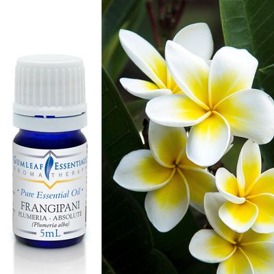Gumleaf Essentials Frangipani Plumeria Absolute Essential Oil - 0.17fl oz, Cruelty Free & Vegan, 100% Pure & Natural