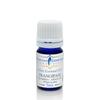 Gumleaf Essentials Frangipani Plumeria Absolute Essential Oil - 0.17fl oz, Cruelty Free & Vegan, 100% Pure & Natural view 2
