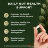 AdvantageNutra Akkermansia Muciniphila Probiotics and Prebiotics w/Lactobacillus Salivarius & Haritaki | Fiber Supplement Gut Health & Digestive Health | Women Probiotic Akkermansia Light view 3
