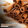 Angel Brand Cassia Cinnamon Sticks  Whole 2.5oz Bottle  Aromatic, Fresh, and Flavorful Cinnamon Sticks for Cooking, Baking, Beverages, and Tea  Premium Spice for Authentic Flavor view 2