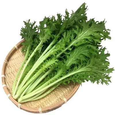 1/4oz 4000 Seeds WASABINA Baby Leaf Japanese Mustard Green Seeds;
