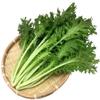 1/4oz 4000 Seeds WASABINA Baby Leaf Japanese Mustard Green Seeds;   view 1