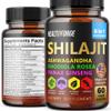 HEALTHFORGE Shilajit Capsules Organic Extract Blend 60 Capsules for Men & Women - Shilajit Supplement 9000mg Ashwagandha, Immune Support Supplement 2000mg Rhodiola Supplement, Ginko Ginkgo Biloba view 1