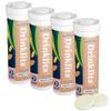 Drinklits Ginger-Lime Daily Electrolyte Hydration Tablets (4) Tube Bundle | Made with Organic Ginger  0g Sugar  Great Taste | 4 Pack (40 Servings) view 1