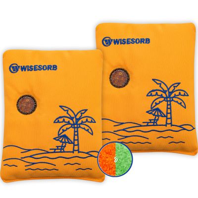 Wisesorb 500g 2pcs Rechargeable Car Dehumidifier Moisture Absorbers Bags, Reusable Desiccant Color Indicating Silica Gel Packets, Microwave Reactivated Visible Desiccant Packs for Car Closet Basement