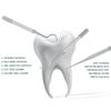 Baoton 5Pcs Toothpicks Rough Handle Tooth Picker Stainless Steel Dental Floss Picks Pocket Set Reusable Flossers for Adults Portable Teeth Cleaning Travel Oral Care Plaque Remover, Silvery view 4