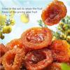 Dried Prickly Pear Fruit 8.8oz.Prickly Pear Preserved Fruit Prickly Pear Dried Fruit view 2