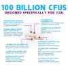 Probiotics 100 Billion CFU - 10 Probiotic Strains & Prebiotics - Digestive Gut Health, Immune Support & Occasional Constipation, Gas & Bloating - Daily Supplement For Women & Men - 120 Vegan Capsules view 3