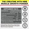 Creatine HMB, Creatine Powder for Men & Women, Micronized Creatine Monohydrate for Muscle Growth & Recovery and Increased Strength, Performance, Creatine HMB with Glutamine, Gluten Free, 30 Servings view 2
