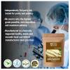 Blessfull Healing Organic Arrowroot Powder 100% Pure Natural 200 Gram / 7.05 oz view 3