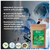 Blessfull Healing Organic Patchouli Leaves Powder 100% Pure Natural 100 Gram / 3.52 oz view 3