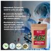 Blessfull Healing Organic Raspberries Powder 100% Pure Natural 100 Gram / 3.52 oz view 3