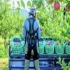 Mediaid Textile Exoskeleton Suits for Industrial Labor, Farming and Heavy Lifting l Full-Body Posture Support for Men & Women (Top Large/Bottom Medium) view 4