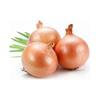 NineLife Basics Fresh Yellow Onions, Fresh Produce, USA Grown, Non-Gmo, Bulk Wholesale (20 Pounds) view 3