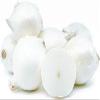 NineLife Basics White Onions, Fresh Produce, USA Grown, Non-Gmo, Bulk Wholesale (15 Pounds) view 1