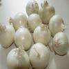 NineLife Basics White Onions, Fresh Produce, USA Grown, Non-Gmo, Bulk Wholesale (15 Pounds) view 2