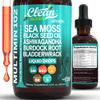 Clean Nutra Organic Sea Moss Drops Supplement | Black Seed Oil Irish Seamoss Ashwagandha Burdock Root & Bladderwrack - Multimineral Liquid Vegan for Gut Heath Energy Skin Immune Support & Hair view 1