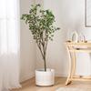 GOWE 150CMARTIFICIAL Milan Leaf Bonsai view 1