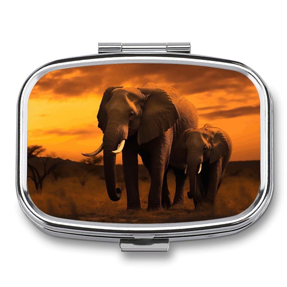 Square Pill Box 2 Compartment Pill Case for Purse & Pocket Small Pill Organizer Sunset Parent-Child Elephant Travel Pillbox Portable Oil Storage Box Metal Medicine Vitamin Organizer Unique Gift