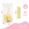 SOMIOCO Gold Star Flat Bottom Gusset Cellophane Bags 4X 6 IN 100 PCS Clear Gift Party Favor Cello Treat Goodie for Packaging Candy Cookies Popcorn view 2