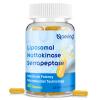 Liposomal Nattokinase 12,000 FU Serrapeptase 360,000 SPU Enzyme Supplement - Enriched with Synergistic Enzymes and Nutrient Blend & Inulin for Circulatory, Gut, Digestion 60 Capsules (1 Bottle) view 1