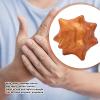 2pcs Hand Massage Ball, Wooden Palm Relaxing Spiky Textured Acupoint Massage Balls for Elderly, Magic Massage Ball Set for Myofascial Point Release Deep Tissue Massage view 4