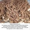 100% Noble Kava Root Powder 1/2 Pound (8 Oz) Helps Body Relax to Improve Sleep view 4