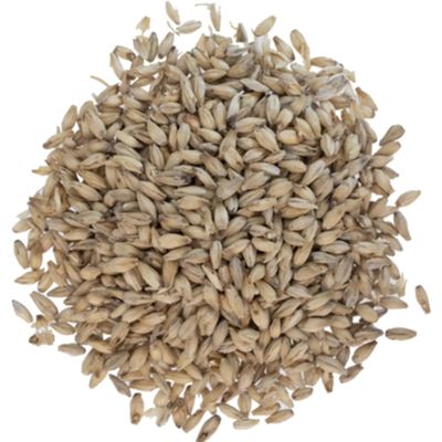6-Row Malt by Avangard 10 lbs beer brewing grains (2L) Milled/Crushed