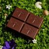 Nightcap 2-Pack | Functional Mushroom Chocolates | Supports Deep Sleep, Calm Mind, Stress Relief | Reishi, Magnesium, Zinc, L-Theanine & Chamomile | Helps to Fall & Stay Asleep, Cream view 3