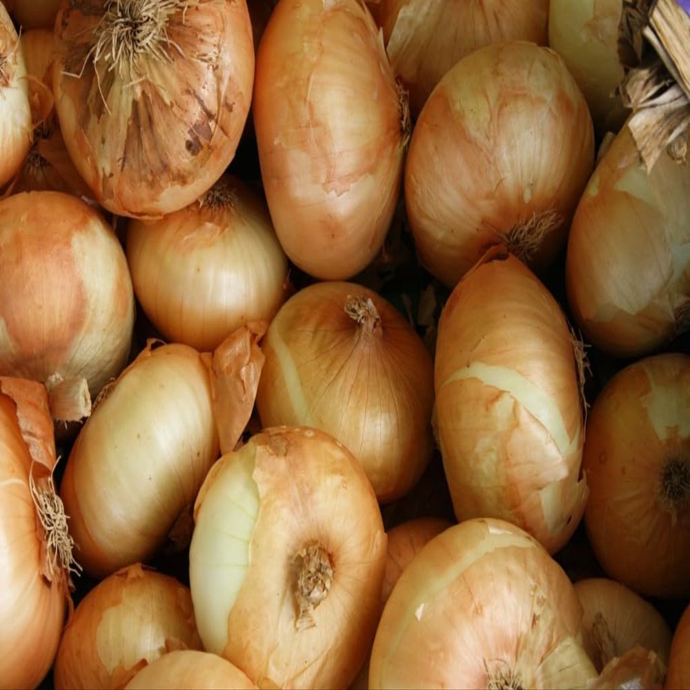 NineLife Basics Fresh Sweet Vidalia Onions, USA Grown, NON-GMO, Bulk (5 Pounds)