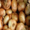NineLife Basics Fresh Sweet Vidalia Onions, USA Grown, NON-GMO, Bulk (5 Pounds) view 1