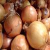 NineLife Basics Fresh Sweet Vidalia Onions, USA Grown, NON-GMO, Bulk (5 Pounds) view 2