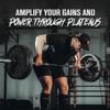 Jacked Factory Build-XT Max Muscle Builder for Men and Women - ATP Supplement with Peak02 Cordyceps, KSM-66 Ashwagandha, & ElevATP for Muscle Recovery, Muscle Growth, Increased Endurance - 120 Count view 4