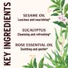 Banyan Botanicals Super Nasya Oil  Herbal Nasal Oil Drops with Rose & Sandalwood  Soothes The Nasal Passages & Supports Healthy Respiration*  1 oz  Non-GMO, Chemical Free, Cruelty Free view 4