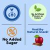 Cinnamon Apple Chips, Dried & Unsweetened, No Added Sugar, Pack of 12 view 4