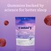 Canary Nighttime Nourisher Sleep Aid Gummy - Vegan Cherry Chamomile Flavor, 60 Gummies - Made with Ashwagandha, Tart Cherry, Lemon Balm, and Chamomile view 4