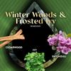 Air Wick Vibrant Plug in Scented Oil Refill, Infused with Essential Oils, Plug in Air Fresheners for Home, Winter Woods & Frosted Ivy, 5 ct view 4