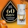 Air Wick Plug in Scented Oil Refill, Infused with Essential Oils, Plug in Air Fresheners for Home, Fall Scent, Fall Dcor, Harvest Pumpkin & Spice, 5 ct view 2