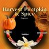 Air Wick Plug in Scented Oil Refill, Infused with Essential Oils, Plug in Air Fresheners for Home, Fall Scent, Fall Dcor, Harvest Pumpkin & Spice, 5 ct view 4