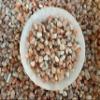 2 oz Lot Natural Semi Tumbled Gemstone Chips, Crushed Mini Crystals, Undrilled Crystal Chips (Sunstone) view 3