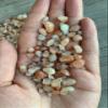 2 oz Lot Natural Semi Tumbled Gemstone Chips, Crushed Mini Crystals, Undrilled Crystal Chips (Sunstone) view 4