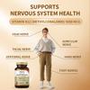oppuland Methyl B-12 5000mcg Chewable with Folate - Vitamin B12 Methylcobalamin Sublingual Tablets - Supports Energy & Brain Function - Vegan Supplement - Cherry Flavor - 140 Count view 2