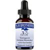 Generic S.R Brothers tarragaon Oil (Artimisia Dracunculus) Pure & Natural Therapeutic Grade Essential Oil with Dropper 100ml, Not Aplicable view 1