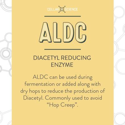 CellarScience - ALDC Enzyme - 1 fl oz