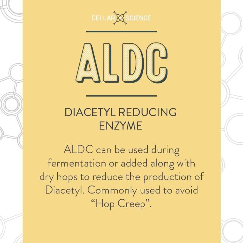 CellarScience - ALDC Enzyme - 1 fl oz