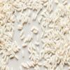 Generic White Rice, Long Grain, USA Grown, Non-GMO, Bulk Wholesale (1 Pound) view 1