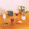 (15 Sachets) Bushwick Tea | Chai | Organic Full Leaf Black Tea Blend from Assam with Fresh Aromatic Single Origin Spices | Rich & and Frangrant | No Added Sugar | Non-GMO (15 Sachets) view 2
